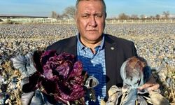 Gürer; Girdi Maliyetleri Artıyor, Alım Fiyatları Düşük Tutuluyor!