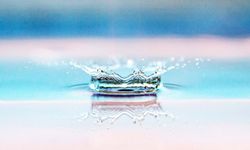 Amatör ve Sportif Olta Balıkçılığı Federasyonu'ndan “Doğaya Saygı, Geleceğe Rastgele” çağrısı