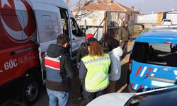 19 düzensiz göçmen yakalandı