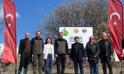 Türkiye Noterler Birliği Ayaş’ta Hatıra Ormanı Kurdu