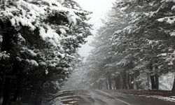 Abant, beyaz örtüye büründü!