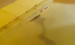 Akranı tarafından bıçaklanarak öldürüldü!