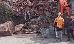 Artvin'de Heyelan'da TIR hasar gördü