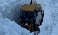 Bitlis'te köy yoluna çığ düştü: Yol kapandı
