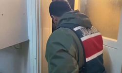 Buharkent'te evde kenevir yetiştiren şüpheli yakalandı