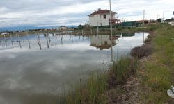 Burhaniye'de yazlıklar ve tarlalar su içinde