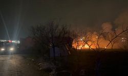 Evin bahçesindeki sünger ve paletler alev topuna dönüştü