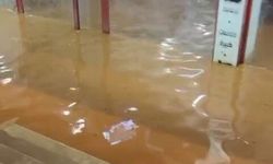 Hatay’da sel felaketi: Reyhanlı’da çoban kuzuları kurtardı