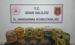 Kaçak keklik avına jandarma baskını: 175 bin lira ceza