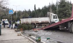 Kamyon refüje çıkıp devrildi