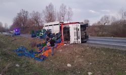 Kütahya'da kamyonet devrildi