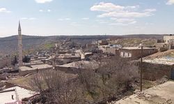 Mardin’de kuduz şüphesi: Mahalle karantinaya alındı