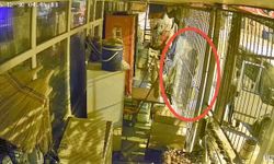 Osmaniye’de Hırsızlık Şüphelisi Tutuklandı