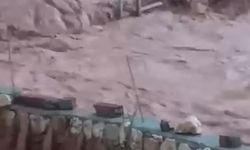 Şırnak'ta dereler taştı, evleri su bastı