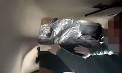 TIR'da 53 kilo skunk bulundu!