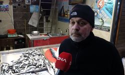 Trabzon Balık Hali’nde Hamsi Bolluğu