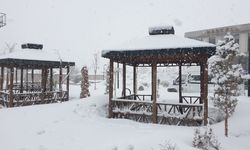 Van'da 34 yerleşim yeri kardan kapandı