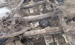 Van'da ahır çöktü