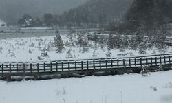 Abant Gölü Beyaza Büründü