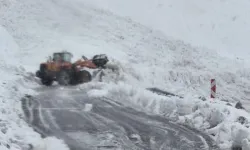 Çığ Yolu Kapattı: Yolcu Otobüsü Yolcularıyla Mahsur Kaldı
