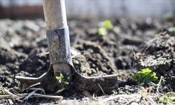 Türkiye’de Gübre Krizi İddiası Dezenformasyon Çıktı