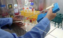 Uçuk Virüsü Kanserle Savaşta Umut Oldu