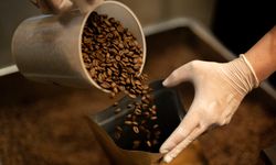 Kahve Posası Atıktan Değere Dönüşüyor