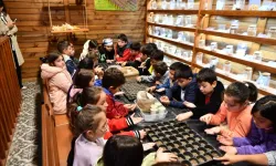Mamak’ta Öğrenciler Ekolojik Köyde Doğayı Öğreniyor