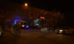 Mardin'de dereye düşen Medine boğuldu