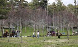 Ankara'da Bayram Yoğunluğu: Mesire Alanları Doldu Taştı