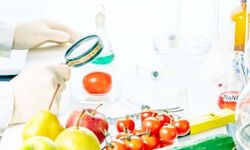 Toplu Tüketim Yerlerinde Gıda Riski Büyüyor