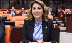 Fındık fiyatındaki düşüş üreticiyi mağdur etti!