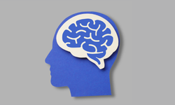 Alışkanlıklar Nasıl Oluşur ve Nasıl Kırılır?