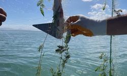 Kaçak Avcılığa Darbe: Suğla Gölü’nde Ağlar İmha Edildi
