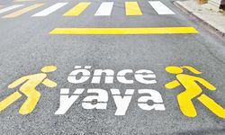 Yaya geçitlerinde ölüm alarmı: Denetim yetersiz