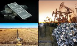 Emtia Piyasalarında Karışık Seyir