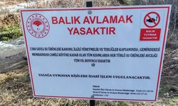 Geminbeli mevkisinde balık avı yasaklandı