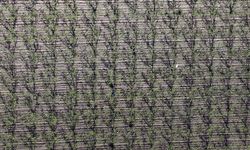 Meteorolojiden zirai don uyarısı