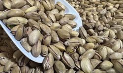 Türkiye’nin Fıstık İhracatı 2025’te 178 Milyon Dolara Ulaştı