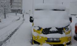 111 köy yolu kardan kapandı