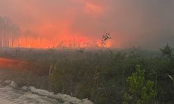 ABD Georgia’da Orman Yangını: 120’den Fazla Ev Zarar Gördü