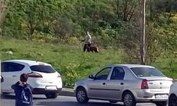 Avcılar’da köpeğe kemerli şiddet kamerada