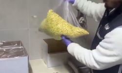 Bayrampaşa'da sahte ilaç operasyonu