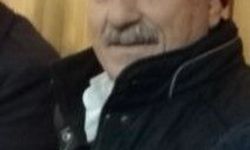 Boğazını arı soktu, hayatını kaybetti!