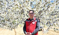 Coğrafi İşaretli Demirci Kirazında Çiçeklenme Başladı: 20 Bin Ton Rekolte Bekleniyor