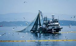 Denizlerde Av Yasağı 15 Nisan’da Başlıyor: Gırgır ve Troller İçin Sezon Kapanıyor