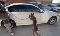 Gaziantep'te 10 kilo metamfetamin yakalandı