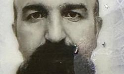 Iğdır'da otomobil şarampole devrildi