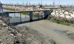 İnci Kefali Göçü Öncesi Seferberlik: 2 Ton Atık Toplandı