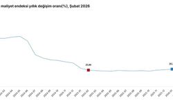 İnşaat Maliyetleri Şubatta Yükseldi